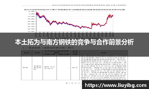 本土拓为与南方钢铁的竞争与合作前景分析